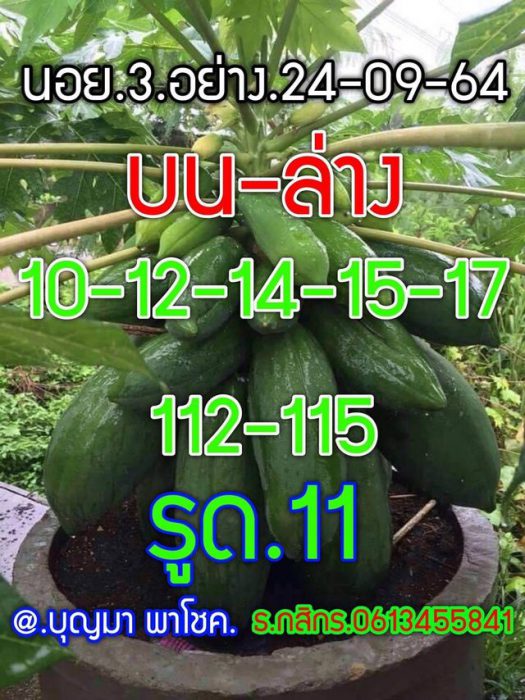 แนวทางหวยฮานอย-24-9-64-ชุด-8